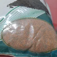 خاک سند قرمز چانا