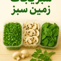 فروشگاه سبزیجات آماده زمین سبز