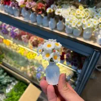 گل و گلدون مراکشی ( مصنوعی )|گل مصنوعی|تهران, بازار|دیوار