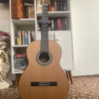 گیتار پال لادو