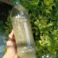فروش انواع سبزیجات  معطر خشک