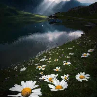 استخدام فوری نگهبان و سرایدار