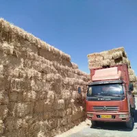 پرس گندم  کاه پخل پوخل پرس جو
