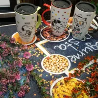 ٪20٪ بیست درصد تخفیف|قوری، کتری، قهوهساز دستی|مشهد, ویلاشهر|دیوار