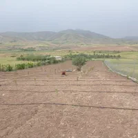 اجرای لوله کشی و آب رسانی بارانی و قطره ای