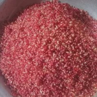 انار، ترشی و رب انار، دورک