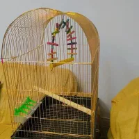 قفس پرنده با وسایل کامل