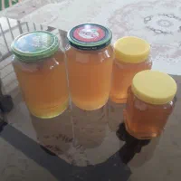 عسل گشنیز زنبوران