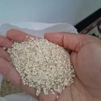 برنج لاشه دم سیاه مینودشت