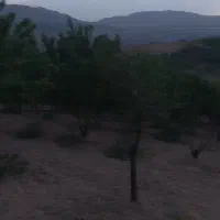 فروش زمین کشاورزی|فروش زمین و ملک کلنگی|زاینده رود, |دیوار