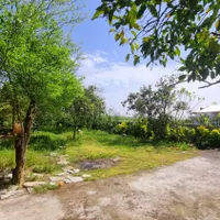 ویلا ۸۰۳ مترزمین ۱۲۵ متر بنا ۳ خواب روستای سالکده|فروش خانه و ویلا|آستانه اشرفیه, |دیوار