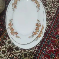 چینی زرین گل پاییزی|ظروف سرو و پذیرایی|اشتهارد, |دیوار