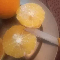 پرتقال محلی شیرین ابدار