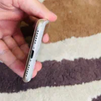 iPhone 7 32 gig|موبایل|شیراز, ملاصدرا|دیوار