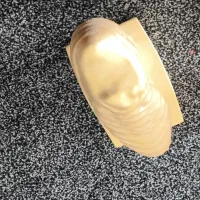 توپ طلا جام جهانی وکفش طلا|کلکسیون و سرگرمی|بهبهان, |دیوار