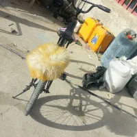 در 20|دوچرخه، اسکیت، اسکوتر|سراوان, |دیوار