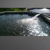 پرورش ماهی ـ باغ|فروش دفتر صنعتی، کشاورزی، تجاری|ورزقان, |دیوار