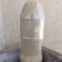 بذر|گل و گیاه طبیعی|کرمانشاه, |دیوار