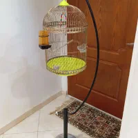 قفس پایه دار بلند|لوازم جانبی حیوانات|کرج, شهرک فهمیده|دیوار