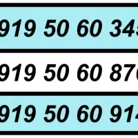 0919.5051541|سیم‌کارت|تهران, تهرانسر مرکزی|دیوار