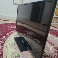 تلویزیون|تلویزیون و پروژکتور|اشنویه, |دیوار