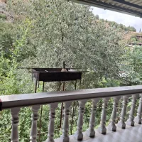 ویلا و سوئیت تراس دار جنگلی تام تام|اجارهٔ کوتاه‌مدت ویلا و باغ|بهشهر, |دیوار