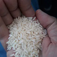 برنج اعلا فوق ممتاز|خوردنی و آشامیدنی|تهران, مرزداران|دیوار