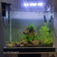 آکواریم کامل