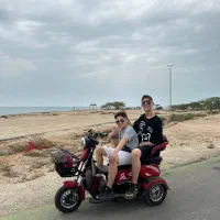 سه چرخه سالم|دوچرخه، اسکیت، اسکوتر|کیش, |دیوار