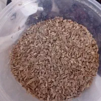 گل بنفشه خشک خالص آویشن خالص کمادون گل ختمی و...|خوردنی و آشامیدنی|کاشان, دروازه فین|دیوار