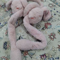 گوشگیر دخترانه نو