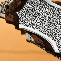 دهلران|لباس|دهلران, |دیوار