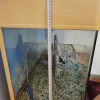 1عدد آکواریوم شیشه خم|ماهی|محمدشهر, محمدشهر|دیوار