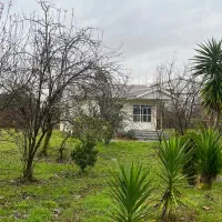 ویلا-باغ-مابین-جنگل-و-دریا-سندار-بقیمت