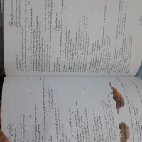 زیست یازدهم خیلی سبز|کتاب و مجله آموزشی|مشهد, شهید قربانی|دیوار