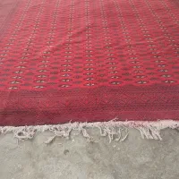 فرش ترکمن|فرش|آق قلا, |دیوار