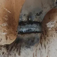 شاگرد باهوش