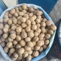 فروش گردو و مغز گردو خارجی|خوردنی و آشامیدنی|تهران, بوستان چیتگر|دیوار