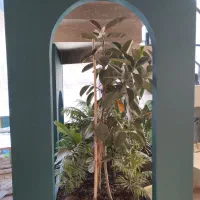 سالن کار و خدمات و ویتر