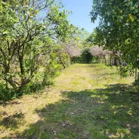 خونه باغ ۱۰۰۰متر قابل تهاتر