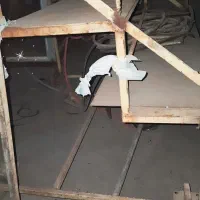 وسایل فست فود|کافی‌شاپ و رستوران|شادگان, |دیوار