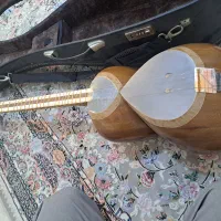 ساز تار کم کارکرد. اقساط با چک صیاد|سازهای سنتی|چهاردانگه (تهران), |دیوار