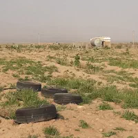 ۷۰۰۰هزارمتر زمین دارای نهال پسته پیوندی وبار دار|فروش دفتر صنعتی، کشاورزی، تجاری|تربت جام, میان جام|دیوار