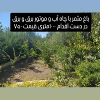 باغ مثمر با آب و برق اطراف فنس براصلی قیمت۱۳۰۰|فروش خانه و ویلا|کرمانشاه, |دیوار