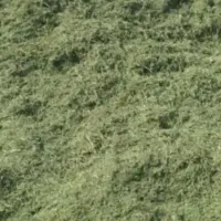 یونجه