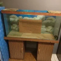 چند عدد آکواریوم|ماهی|تهران, گلاب دره|دیوار