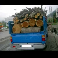 خرید انواع درخت باغی تبریزی کردو وغیره ....