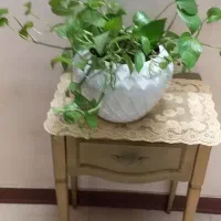 گل ۲۵۰ گلدان سرامیکی سالم