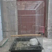 قفس|لوازم جانبی حیوانات|شیراز, فرگاز|دیوار