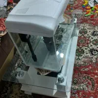 اکواریم